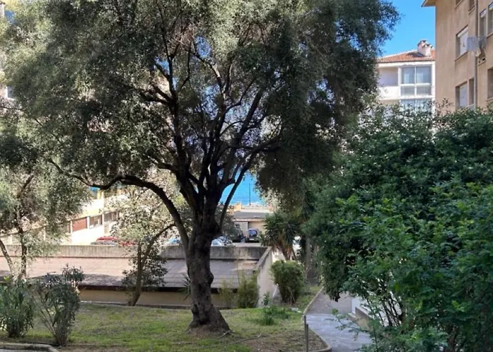 Apartment T3 Rte Des Sanguinaires