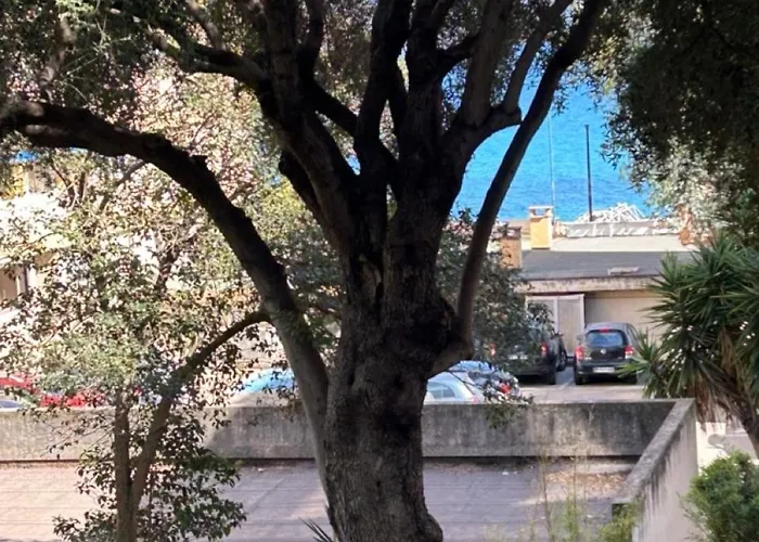 T3 Rte Des Sanguinaires *