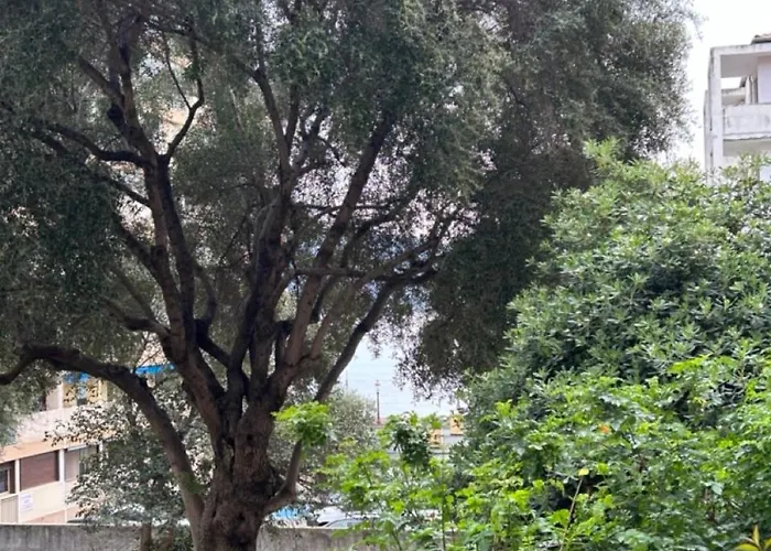 T3 Rte Des Sanguinaires דירה *